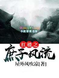 红楼之庶子荣光 小说
