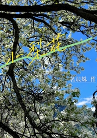 小梨花动画